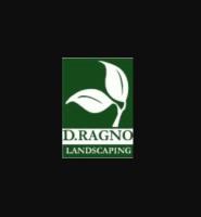 D. Ragno Landscaping image 1